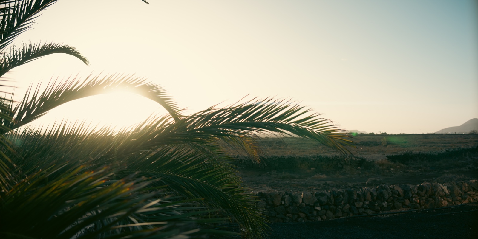 Fuerteventura — DSC01997